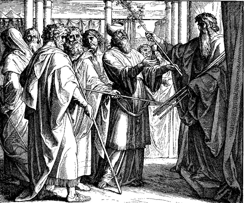 Aaron's Rod That Budded by Julius Schnorr von Carolsfeld depicting Numbers 17:1
