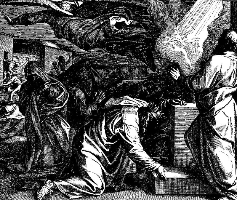 David's Census Punished by Pestilence by Julius Schnorr von Carolsfeld depicting 2 Samuel 24:10