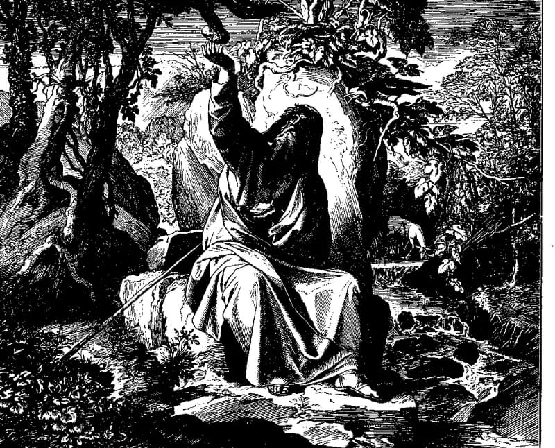 Elijah Fed by the Ravens by Julius Schnorr von Carolsfeld depicting 1 Kings 17:2