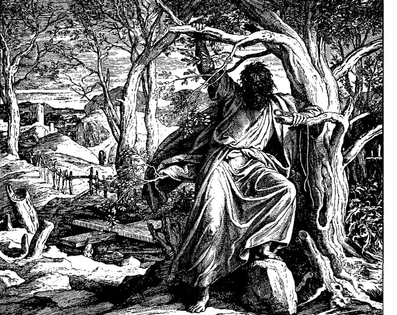 The End of the Traitor Judas Iscariot by Julius Schnorr von Carolsfeld depicting Matthew 27:3