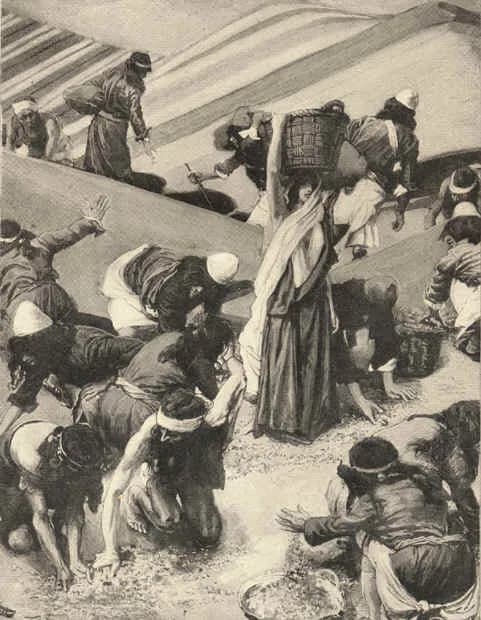 The Gathering of the Manna by James Tissot depicting Matthew 14:19