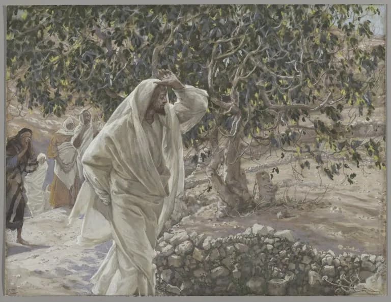 The Accursed Fig Tree by James Tissot depicting Matthew 21:18