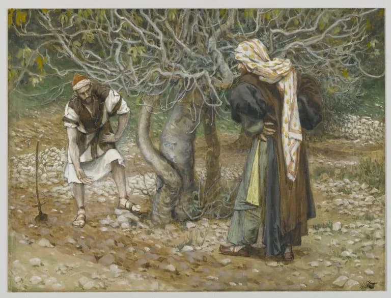 The Vine Dresser and the Fig Tree by James Tissot depicting Luke 13:6