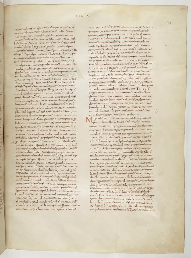 Vivian Bible, Daniel 10 (folio 607) by Master C. (Vivian Bible illuminator) depicting Daniel 10