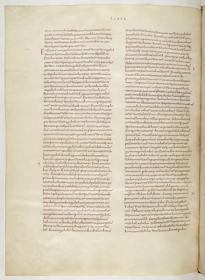 Vivian Bible, Daniel 8 (folio 606) by Master C. (Vivian Bible illuminator) depicting Daniel 8