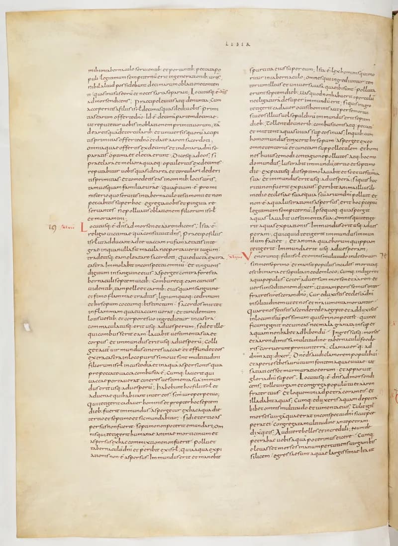 Vivian Bible, Deuteronomy 22 (folio 118) by Master C. (Vivian Bible illuminator) depicting Deuteronomy 22