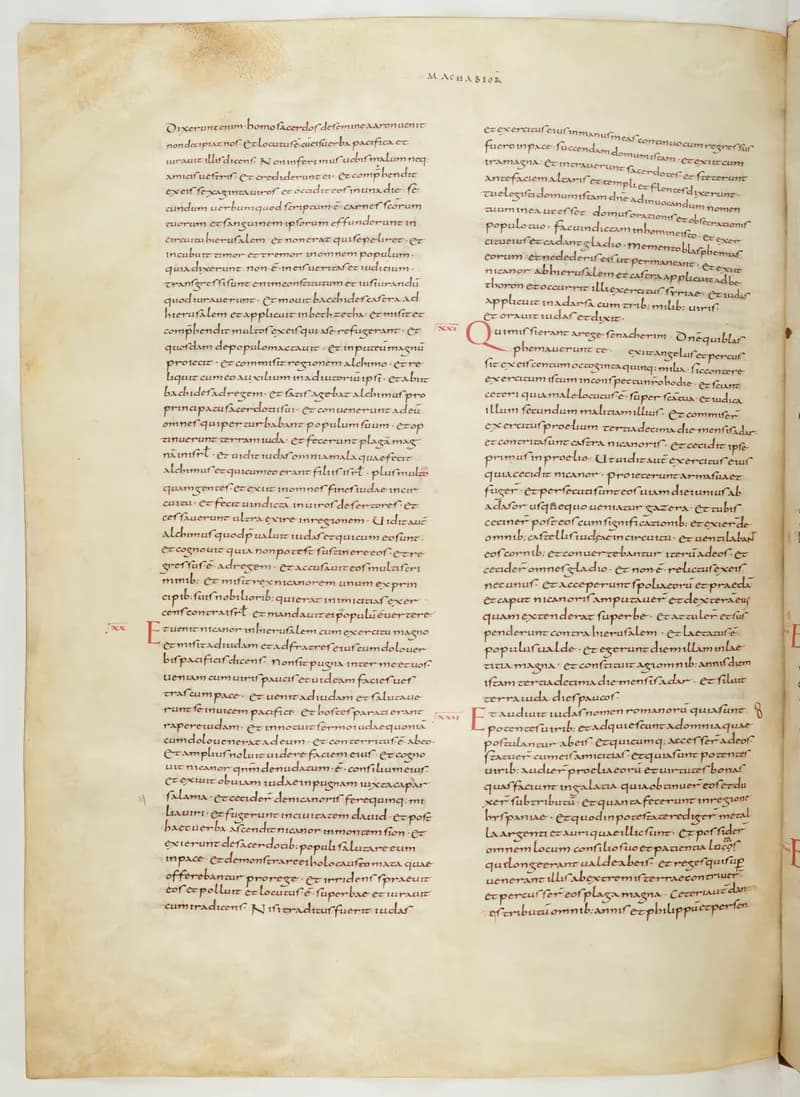 Vivian Bible, Jonah 4 (folio 628) by Master C. (Vivian Bible illuminator) depicting Jonah 4