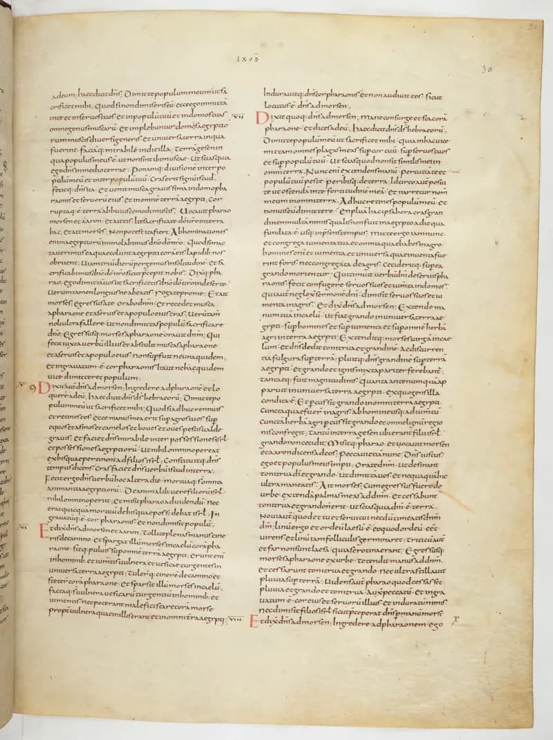 Vivian Bible, Leviticus 3 (folio 67) by Master C. (Vivian Bible illuminator) depicting Leviticus 3
