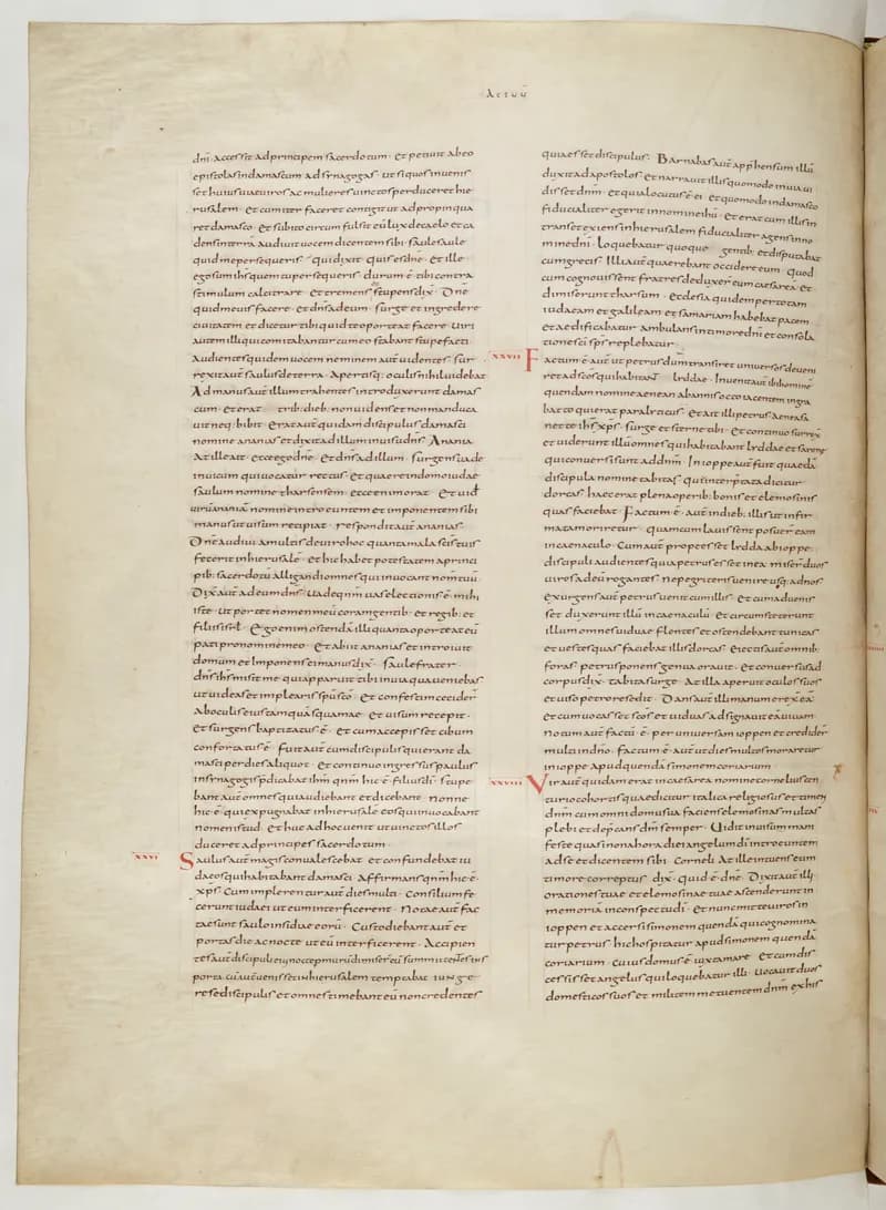 Vivian Bible, Romans 11 (folio 748) by Master C. (Vivian Bible illuminator) depicting Romans 11