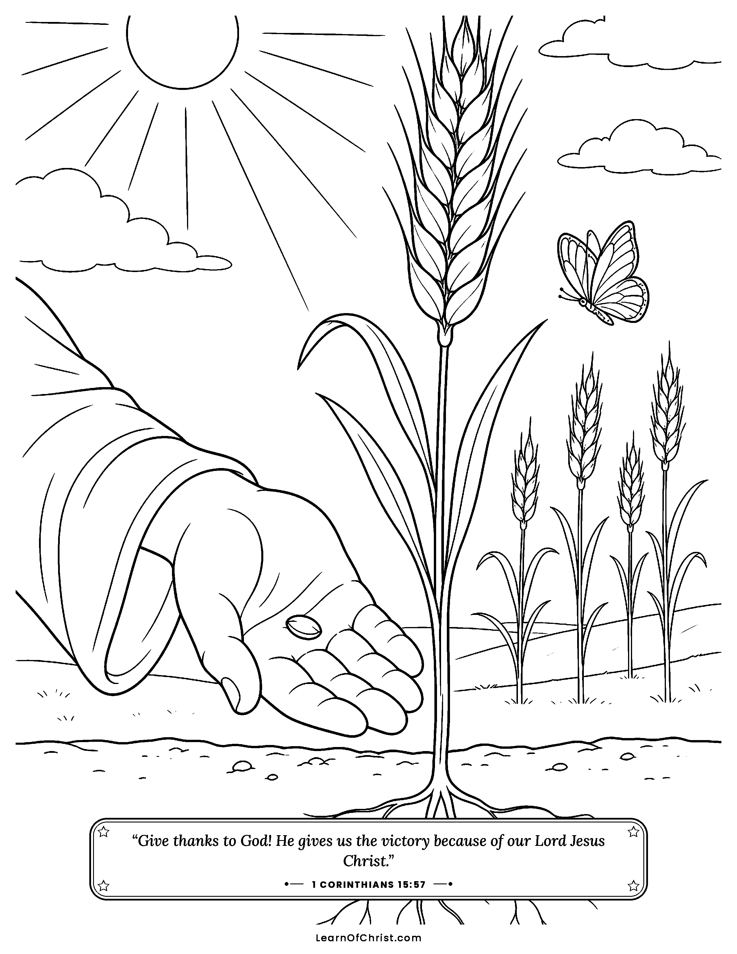 1 Corinthians 15 coloring page - The seed and the wheat it becomes. Free printable Bible coloring sheet for kids.