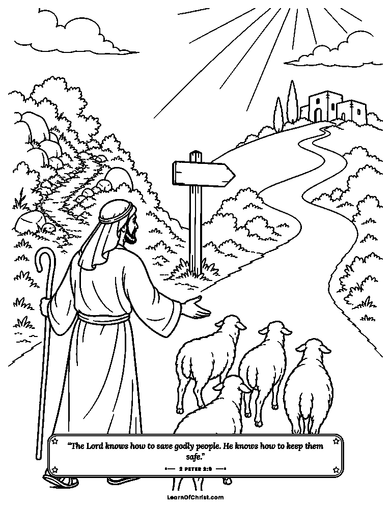 A shepherd guides the flock home