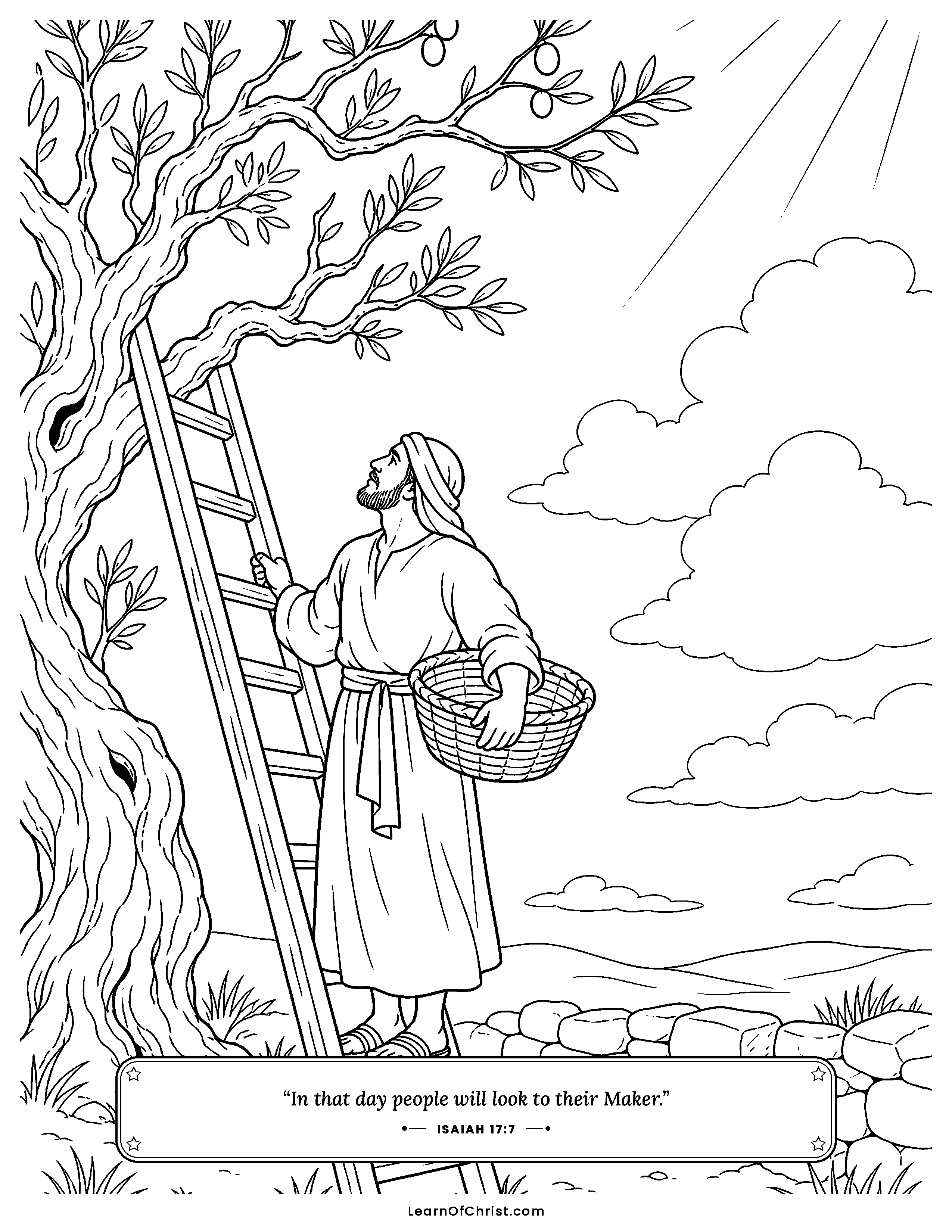 Isaiah 17 coloring page - Last olives at the top of the tree. Free printable Bible coloring sheet for kids.