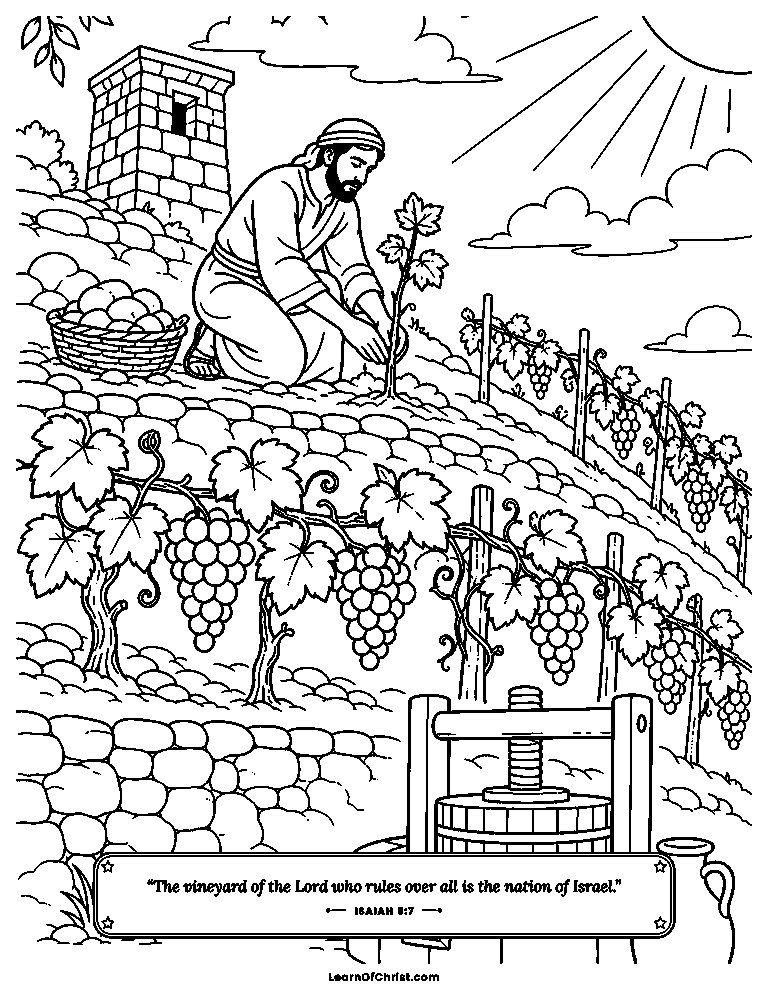 A gardener plants his hillside vineyard