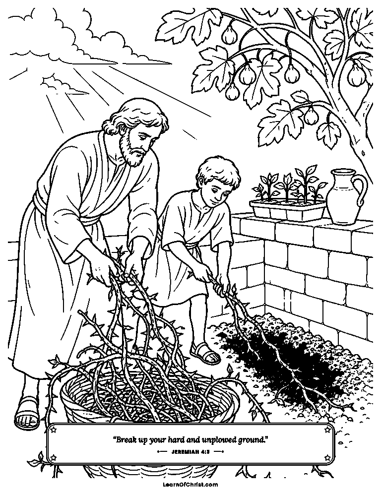 Pulling the thorns out of the garden corner