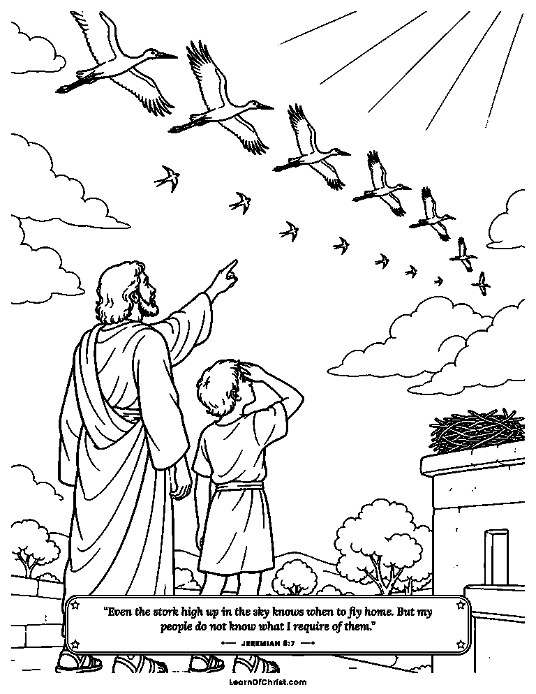 Storks in the sky know the way home