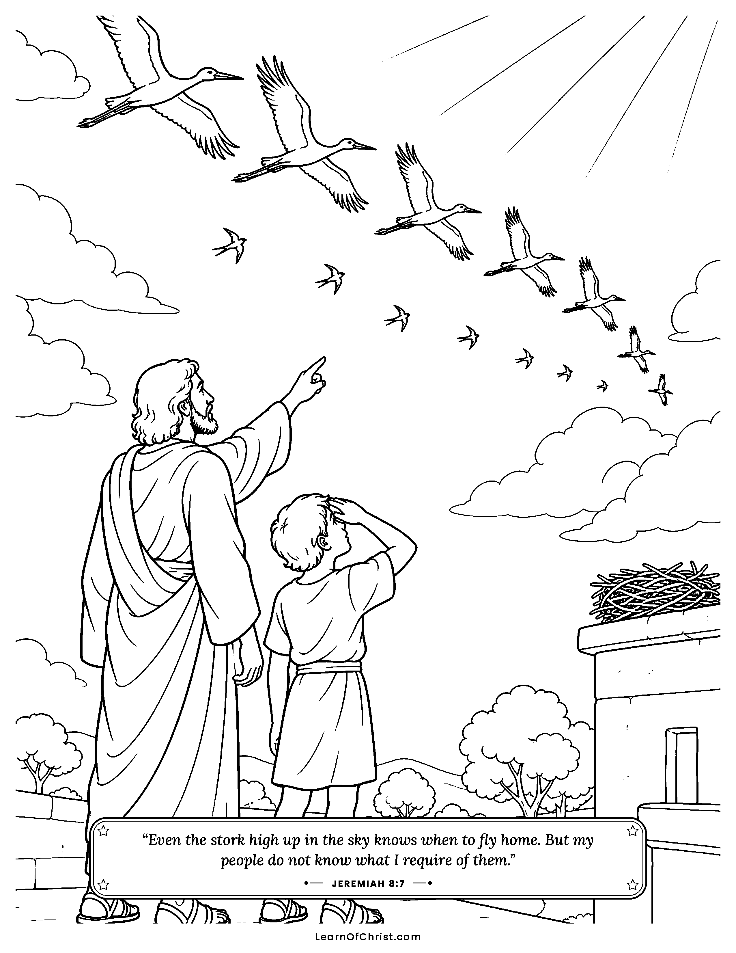 Jeremiah 8 coloring page - Storks in the sky know the way home. Free printable Bible coloring sheet for kids.