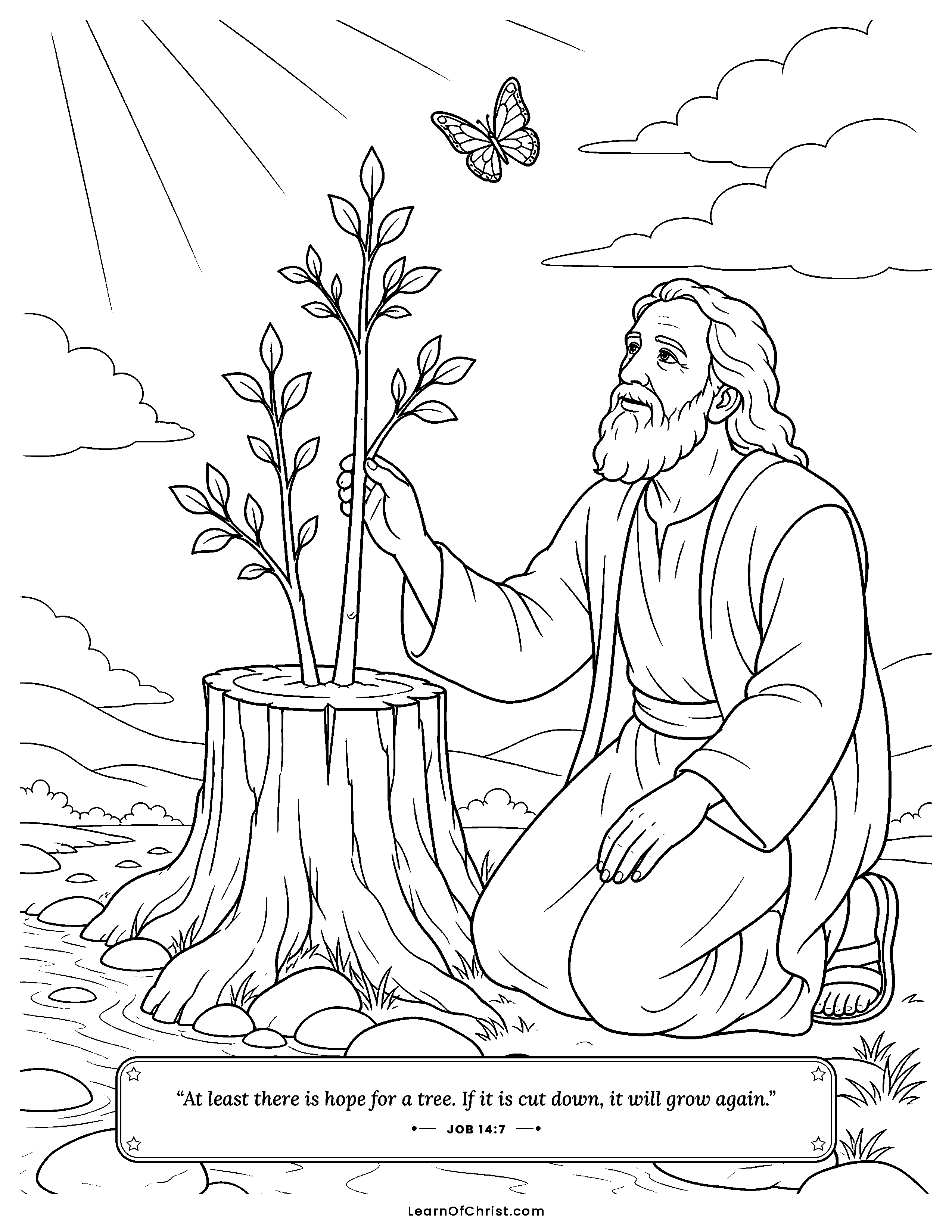 Job 14 coloring page - The cut-down tree sprouts green again. Free printable Bible coloring sheet for kids.