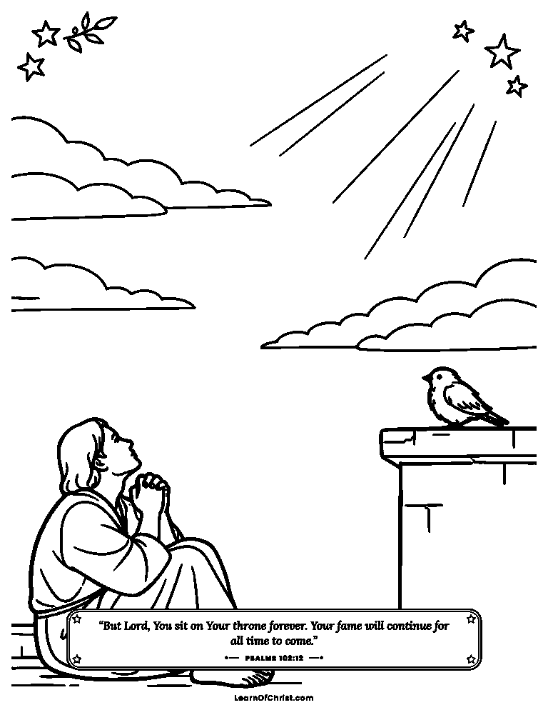 A lonely bird on the rooftop