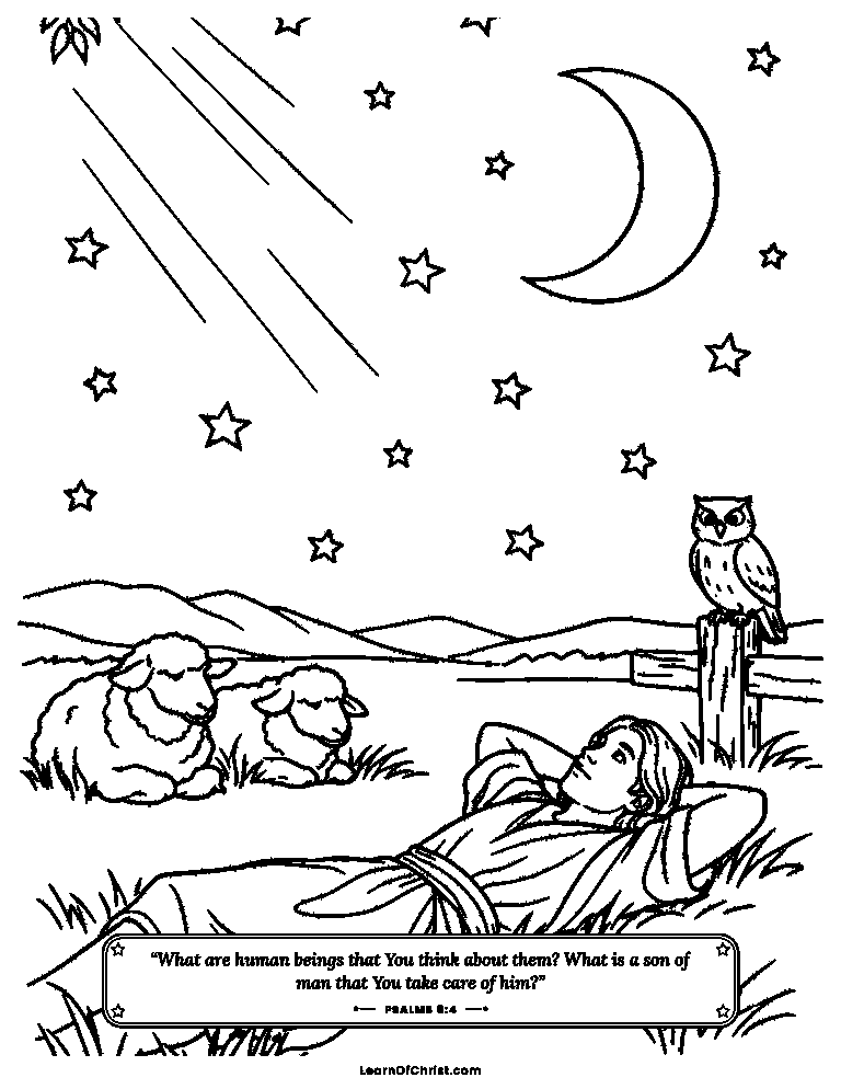 Psalms 8 coloring page - Counting stars in a field at night