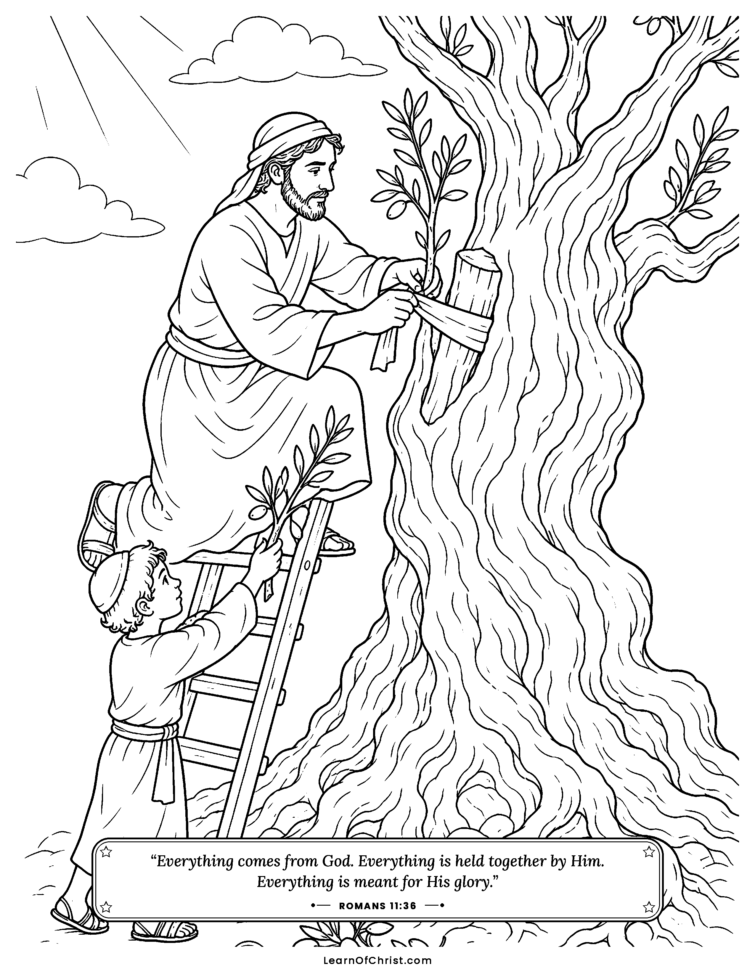 Romans 11 coloring page - A branch grafted into the olive tree. Free printable Bible coloring sheet for kids.