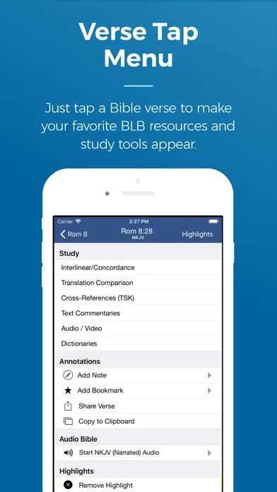 Blue Letter Bible screenshot 2