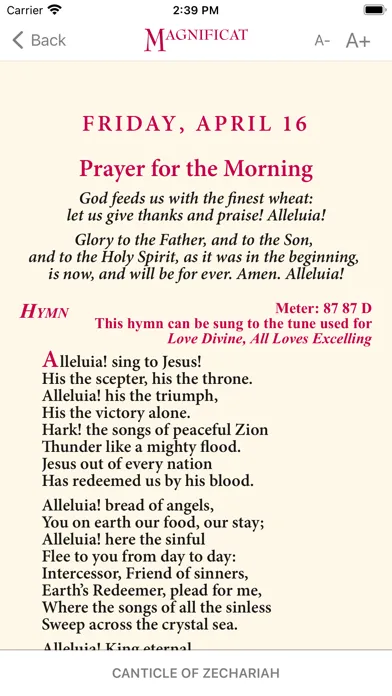 Magnificat screenshot 4