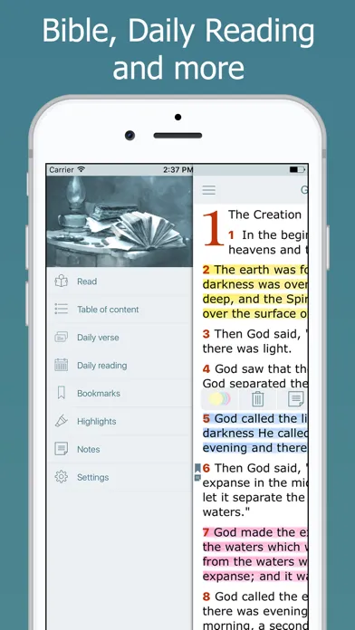 NASB Bible screenshot 2
