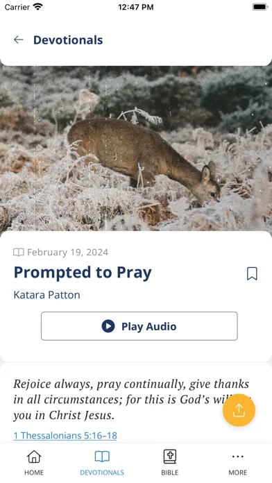 Our Daily Bread screenshot 2