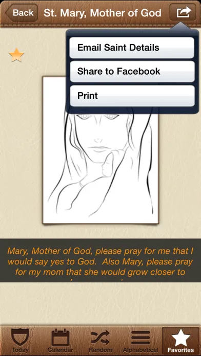 Saint of the Day screenshot 3